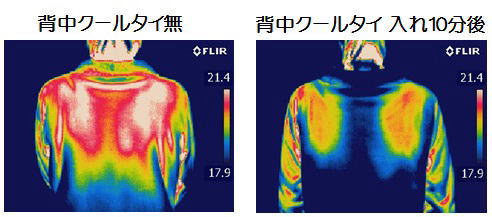 赤外線熱画像で比較して判る魔法の「背中クールタイ」